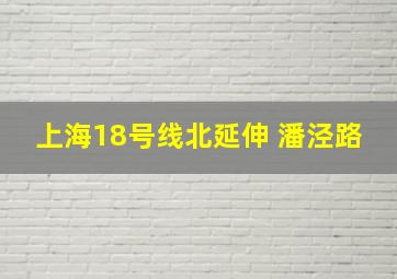 上海18号线北延伸 潘泾路